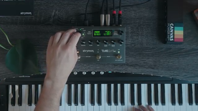 Das ist ein wirklich teures Delay-Pedal.