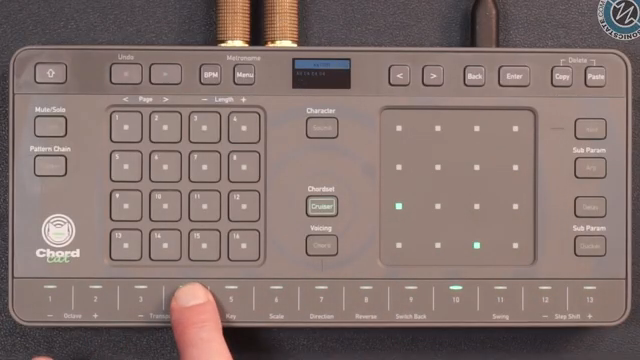 sonicstate – AlphaTheta ChordCat Groovebox and Chord Engine - SonicDEMO