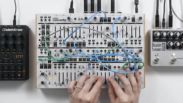 Intellijel Cascadia: Minimal Techno-Machinationen im Modularformat