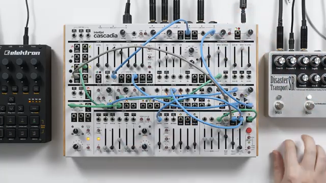Intellijel Cascadia: Analoge Minimalismus im Modular-Techno-Patch